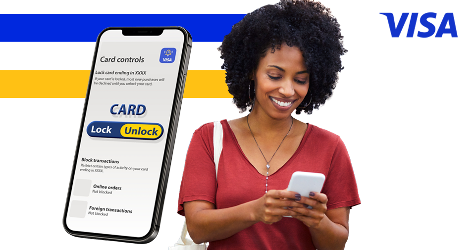 VISA Purchase Alerts