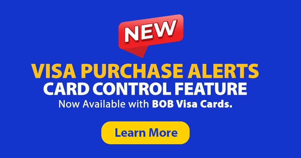 VISA Purchase Alerts